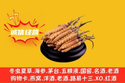 蒙城县回收冬虫夏草